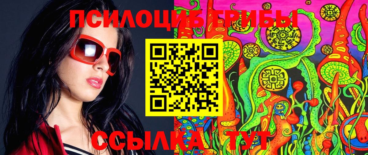 Псилоцибиновые грибы мухоморы  где можно купить наркотик  Вход с VPN  Вольск  Галлюциногенные грибы Magic Shrooms 