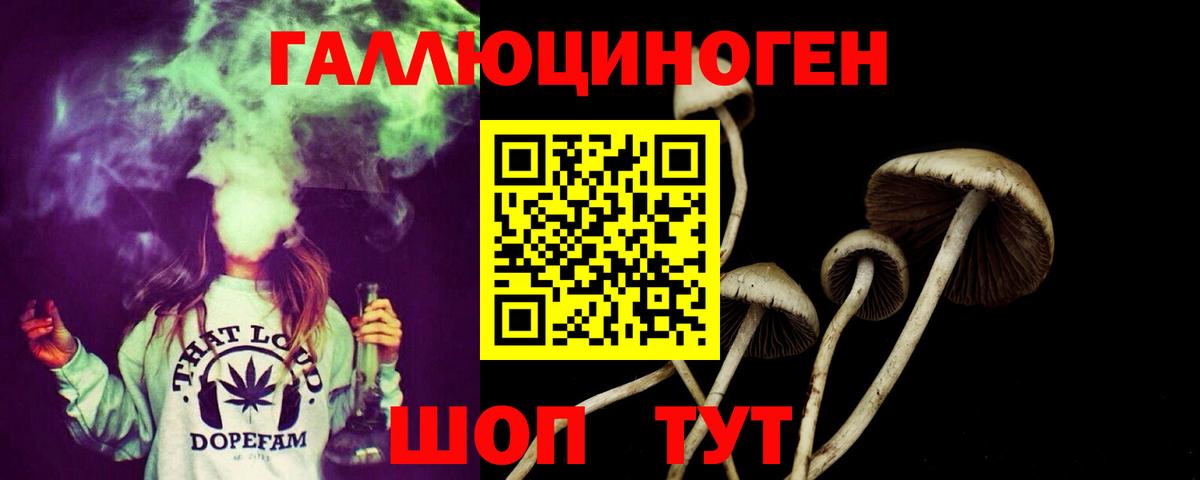Галлюциногенные грибы GOLDEN TEACHER Вольск